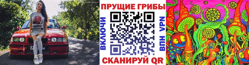 Псилоцибиновые грибы Magic Shrooms  Североуральск 